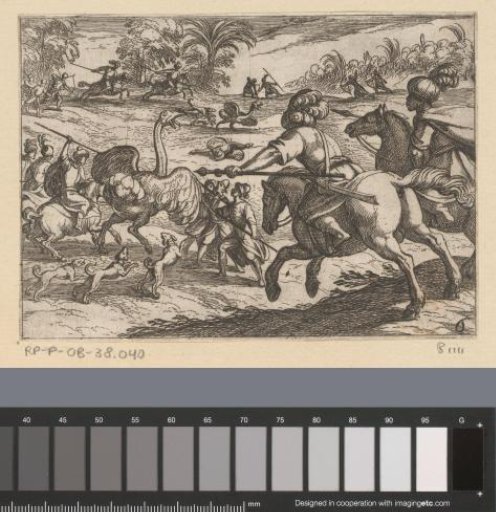 Hunting of ostriches