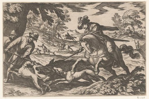 Hunting of wild boars