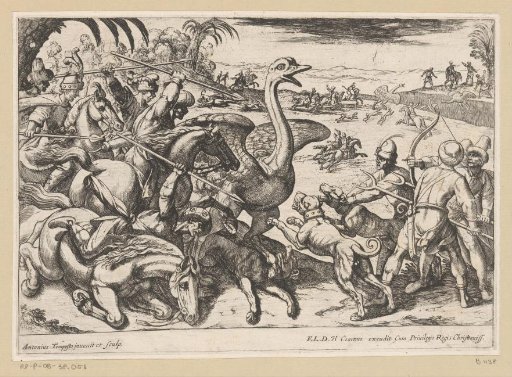 Hunting of ostriches