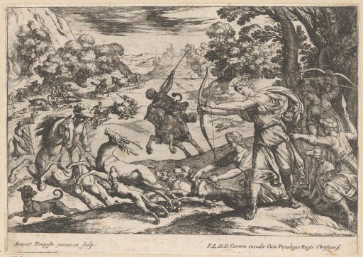 Hunting of stags