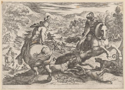 Hunting of wild boars