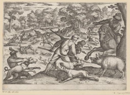 Hunting of wild boars and wolves