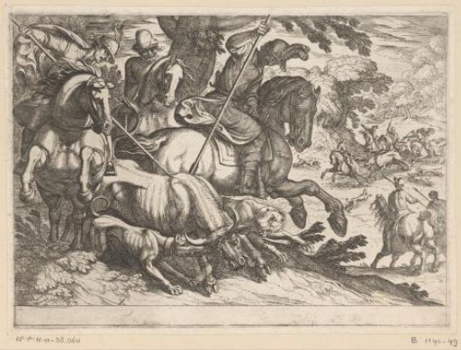 Hunting of wild oxen