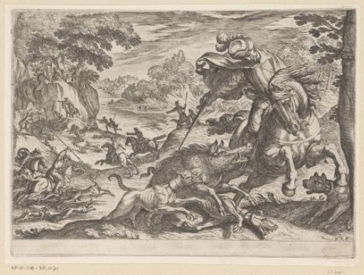 Hunt for boars