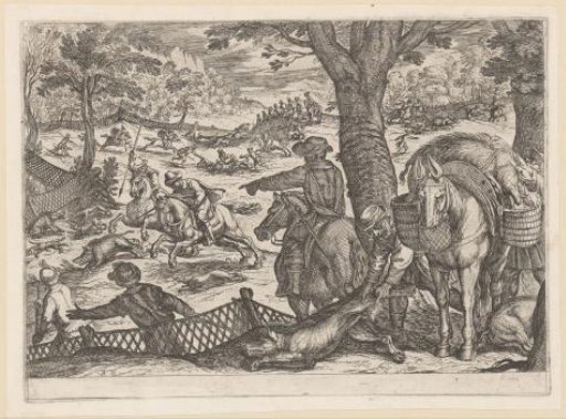 Hunt for boars