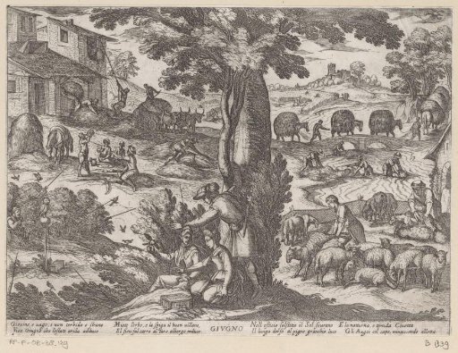 June: shearing sheep (Cancer)