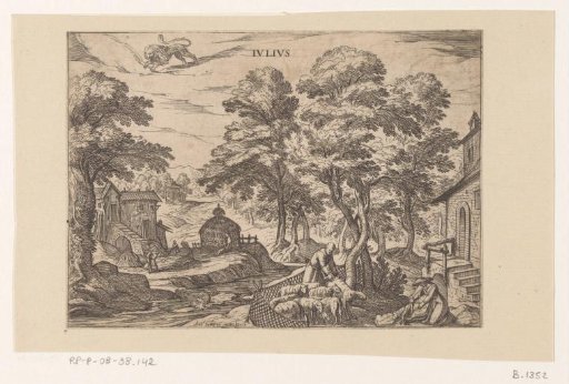 July: Shearing sheep (Leo)