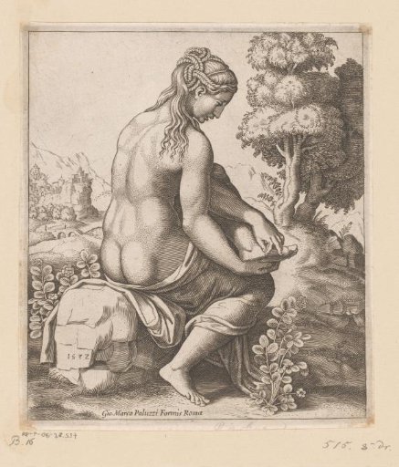Venus and the Rose