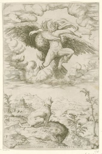 The Rape of Ganymede