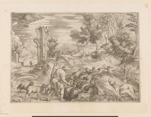 Shepherd with a flock of sheep