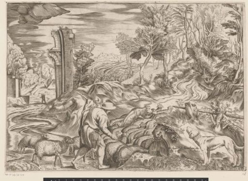 Shepherd with a flock of sheep