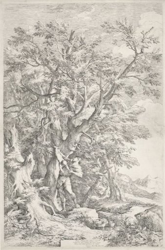 The Rescue of Oedipus