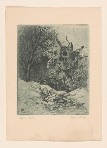 Castle in the Woods