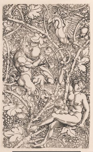 Satyr family among grapevines (part 2)