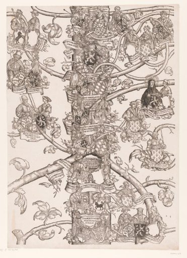Genealogy of Frederick and Ottheinrich of Palatinate-Neuburg (plate 8)
