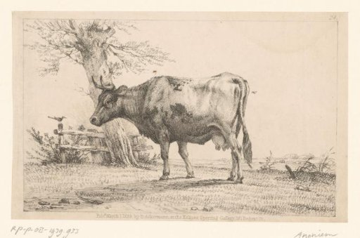 Landscape with cow
