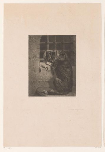 Prisoner stroking a dog through the bars