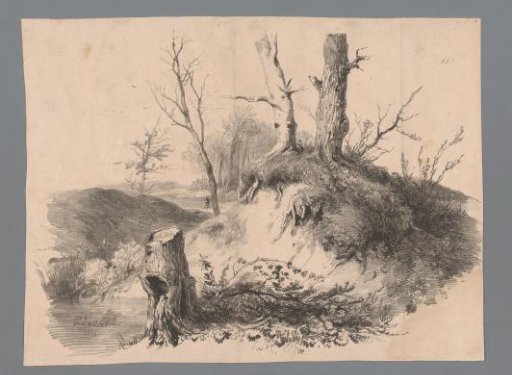 Landscape with tree stumps