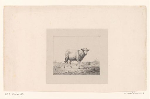 Sheep in a meadow