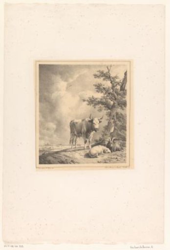 Cow, Sheep and Goat by a Tree