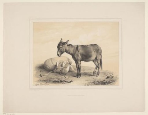 Resting Pack Donkey