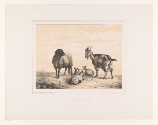 Sheep, goat and three young goats