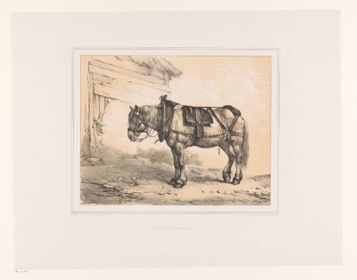 Horse with saddle and bridle