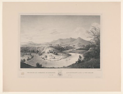 View of the Koeripan plantation near Buitenzorg