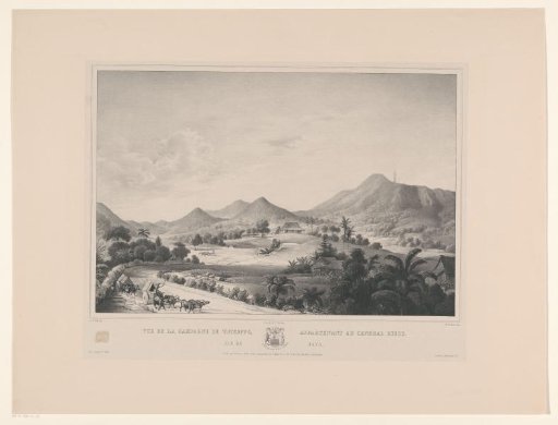 View of the Tjicoppo estate at Buitenzorg