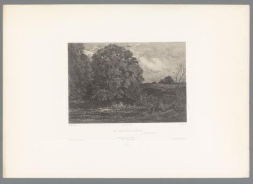 Pond with Trees in the Morvan