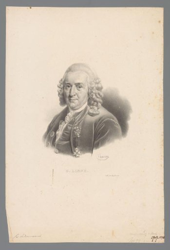 Portrait of Carl Linnaeus