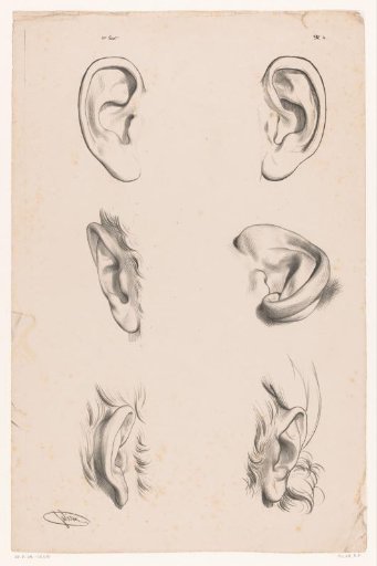 Six Studies of Ears in Different Drawing Stages