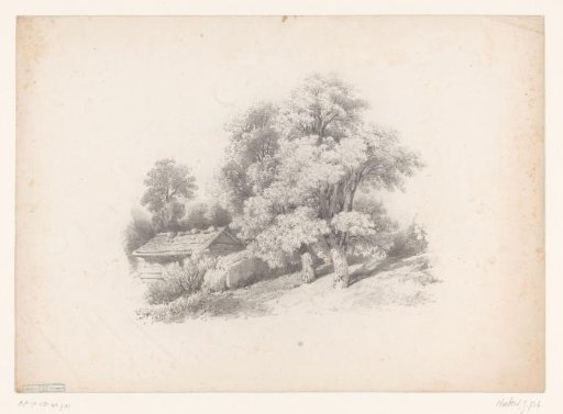 Hilly landscape with house among the trees