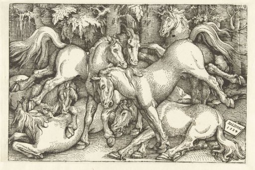 Group of Seven Fighting Horses