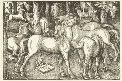Group of Seven Horses and a Monkey