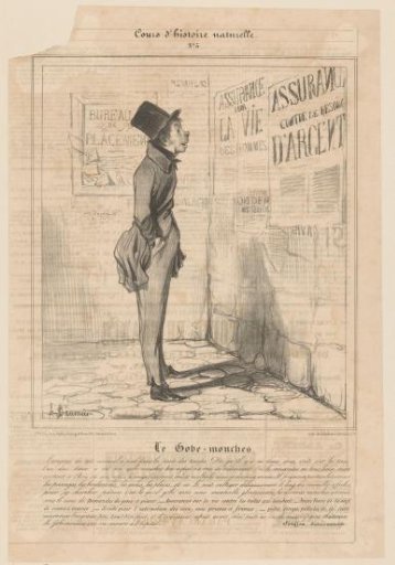 Young man reads insurance posters