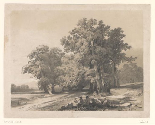 Landscape with chestnut trees