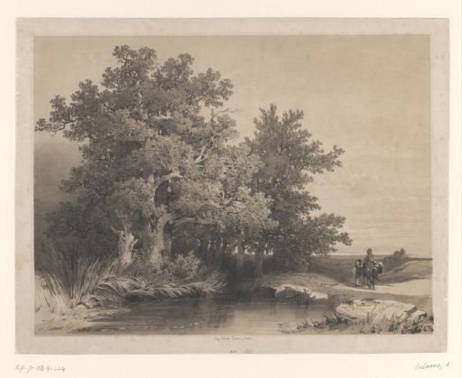 Landscape with oak trees by a pond