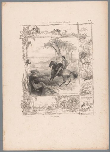 Hunt on antelope with the help of a leopard