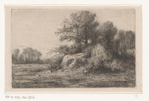 Group of Trees at the Edge of a Plain