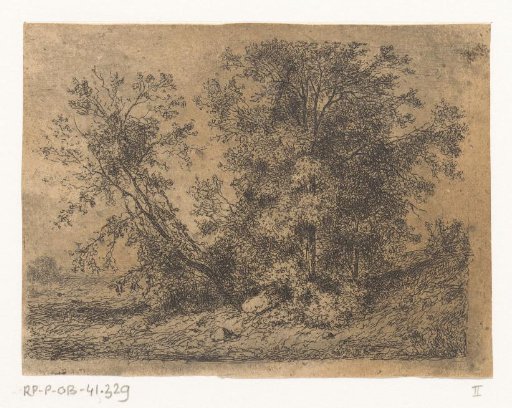 Group of Trees