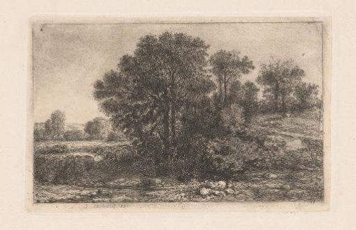 Trees against a Slope
