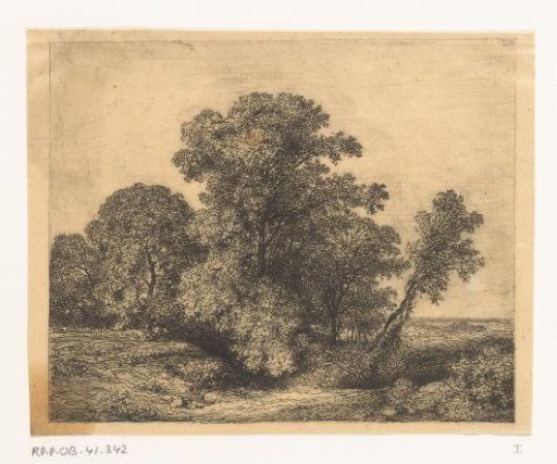Group of Trees on a Plain