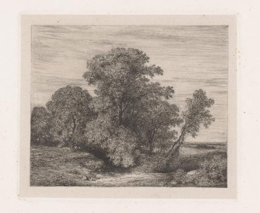 Group of Trees on a Plain