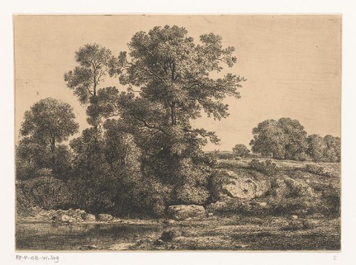 Trees on the Bank of a Pool
