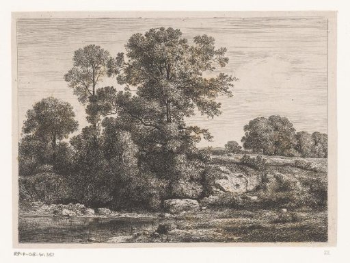 Trees by the bank of a pond