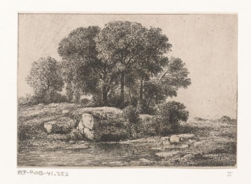 Trees by a pond