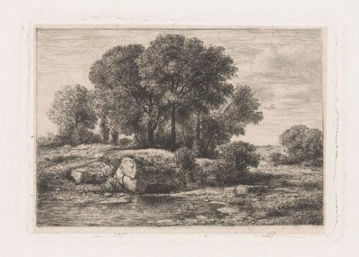 Trees by a pond