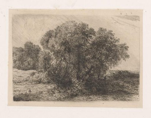 Group of trees with a figure