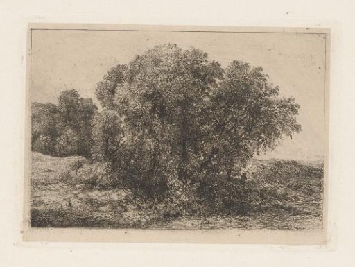 Group of trees with a figure